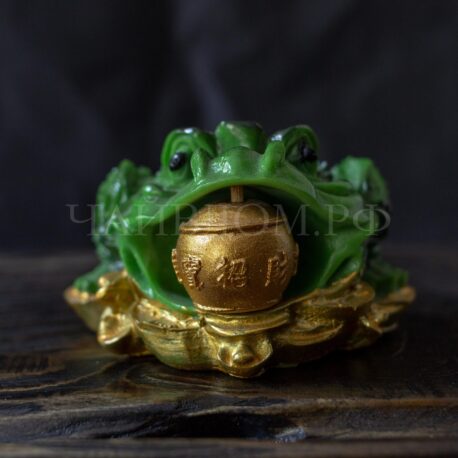 Фото трехлапая жаба игрушка питомец меняет цвет